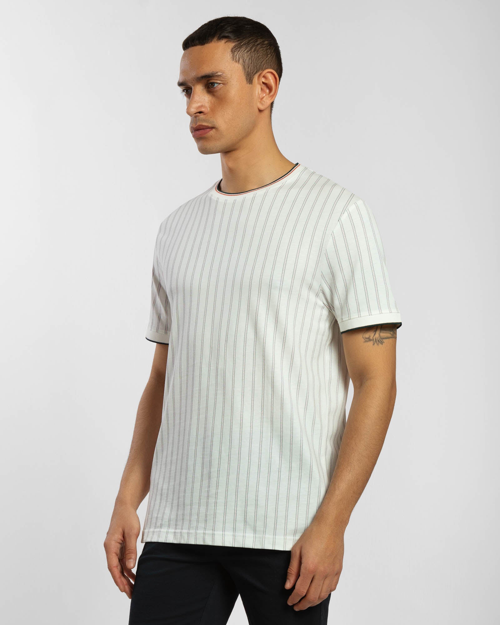 Mini Dash Stripe Regular Fit T-Shirt